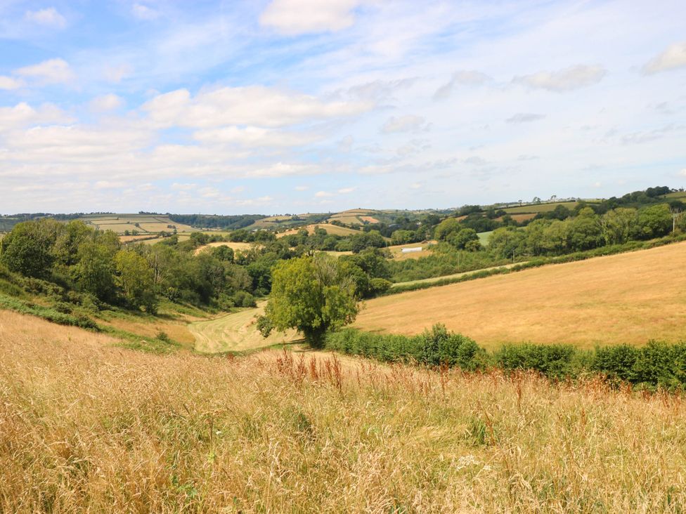 A landscape view with grass and trees at Coedllys Uchaf Cottage