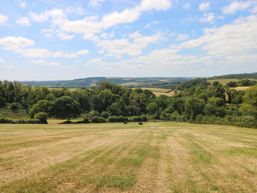 A field with grass and trees at Coedllys Uchaf Cottage