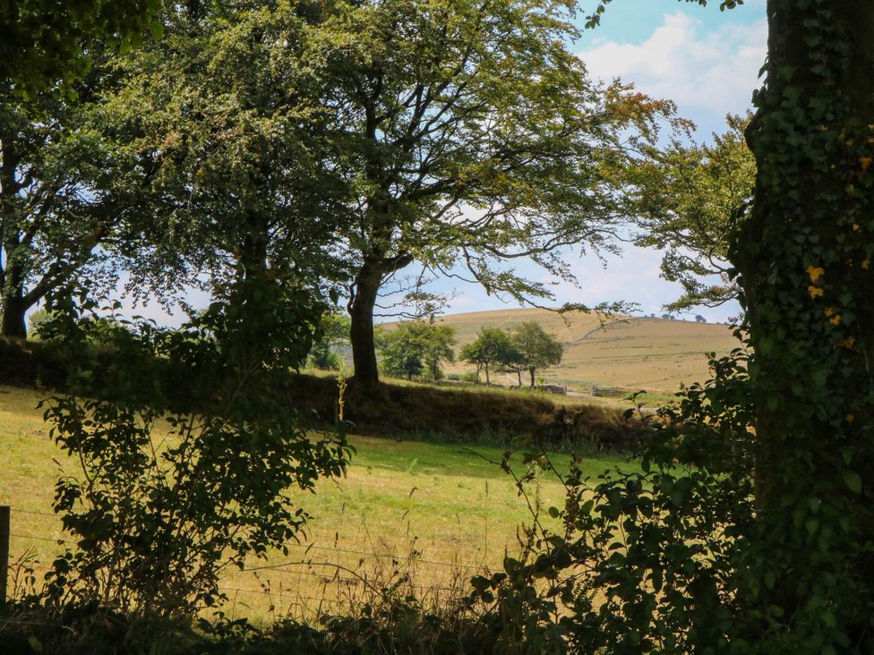 A view of hills and trees in a field at Little Moorgate Okehampton
