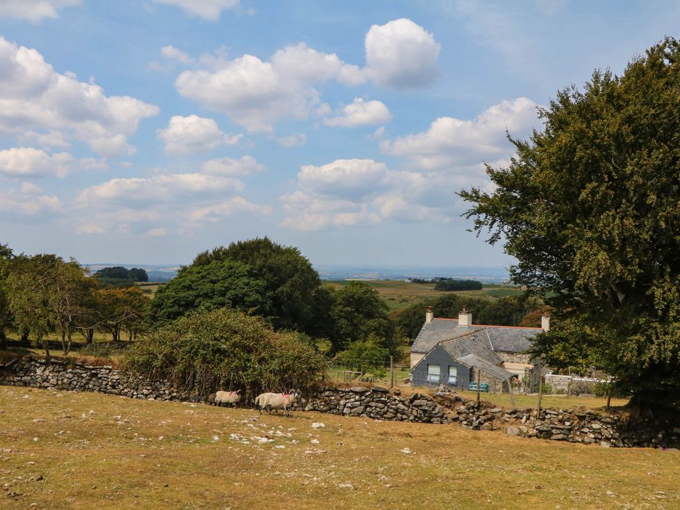 An outdoor view with a house and sheep surrounded by trees and grass at Little Moorgate in Okehampton