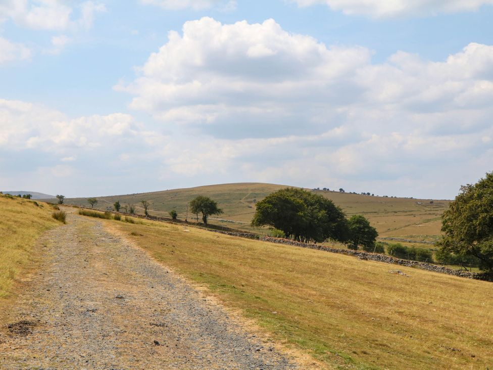 A pathway with grass and trees leading to a hill in Okehampton