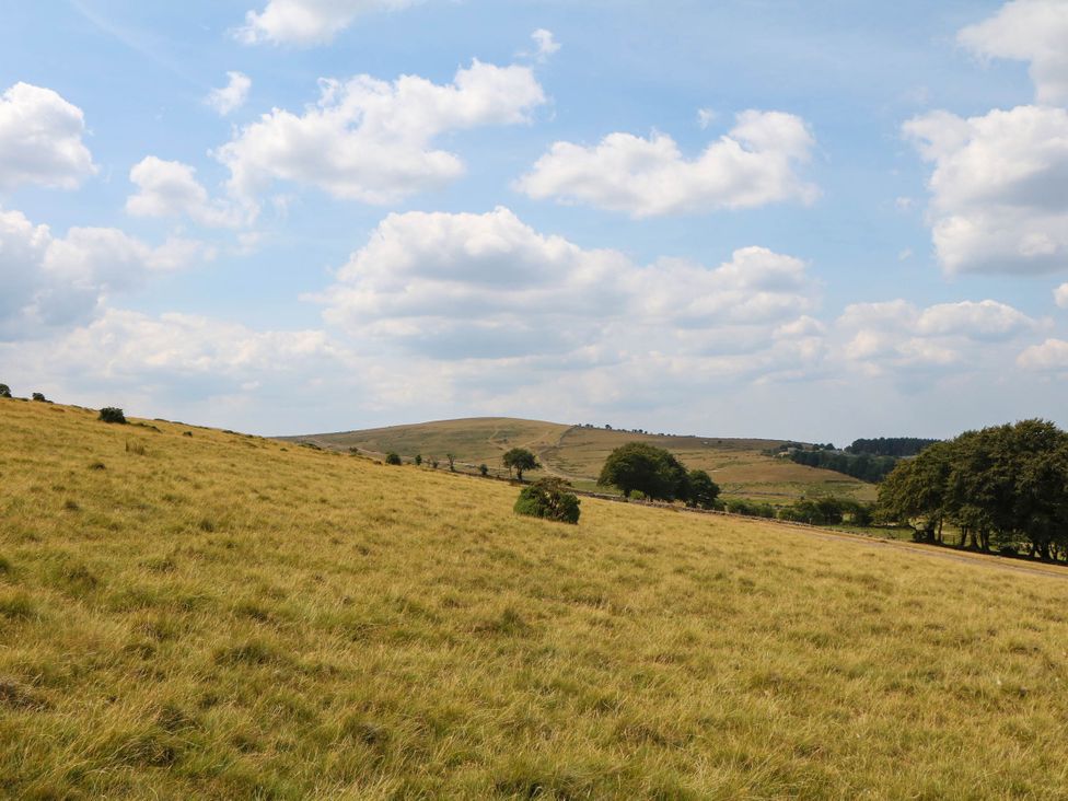A landscape with grassland and hills at Little Moorgate in Okehampton