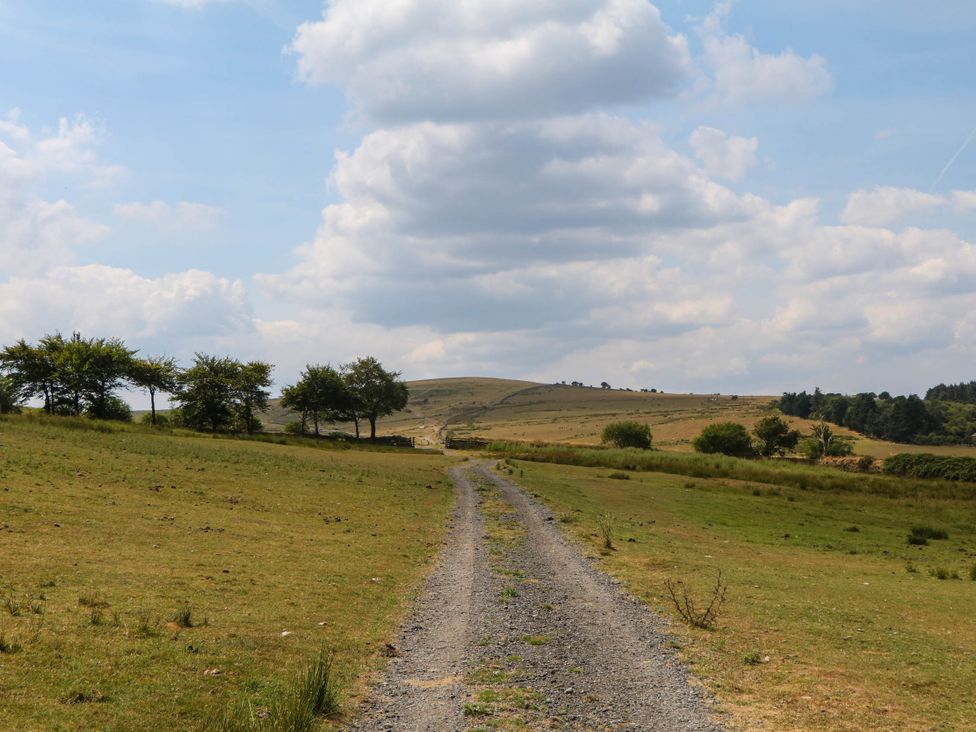 A path through grass and trees in a rural area at Little Moorgate Okehampton