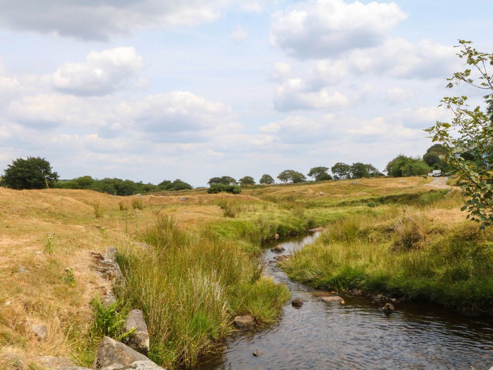A stream flowing through grassy terrain at Little Moorgate Okehampton