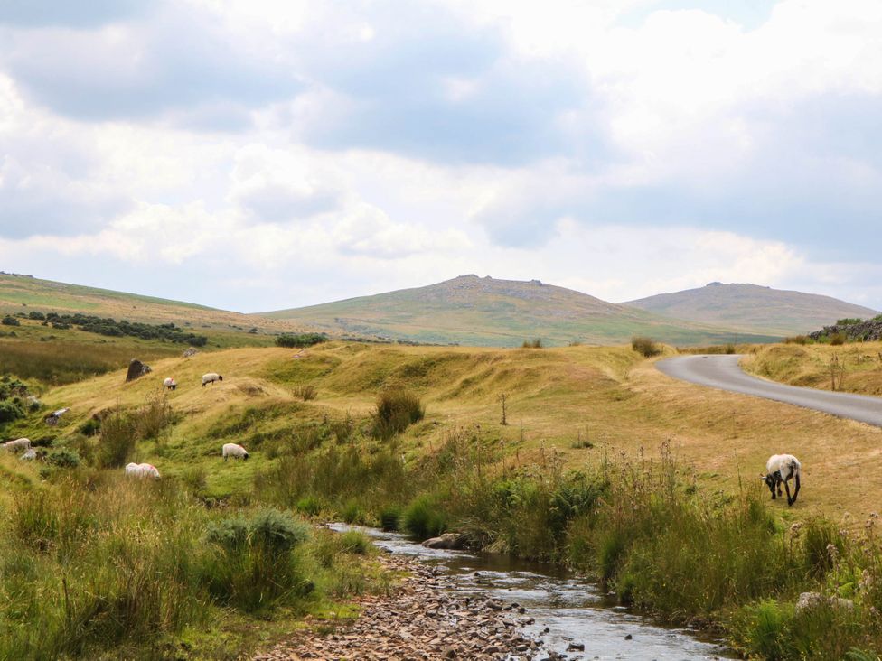 A landscape with sheep grazing near a stream and a road at Little Moorgate in Okehampton