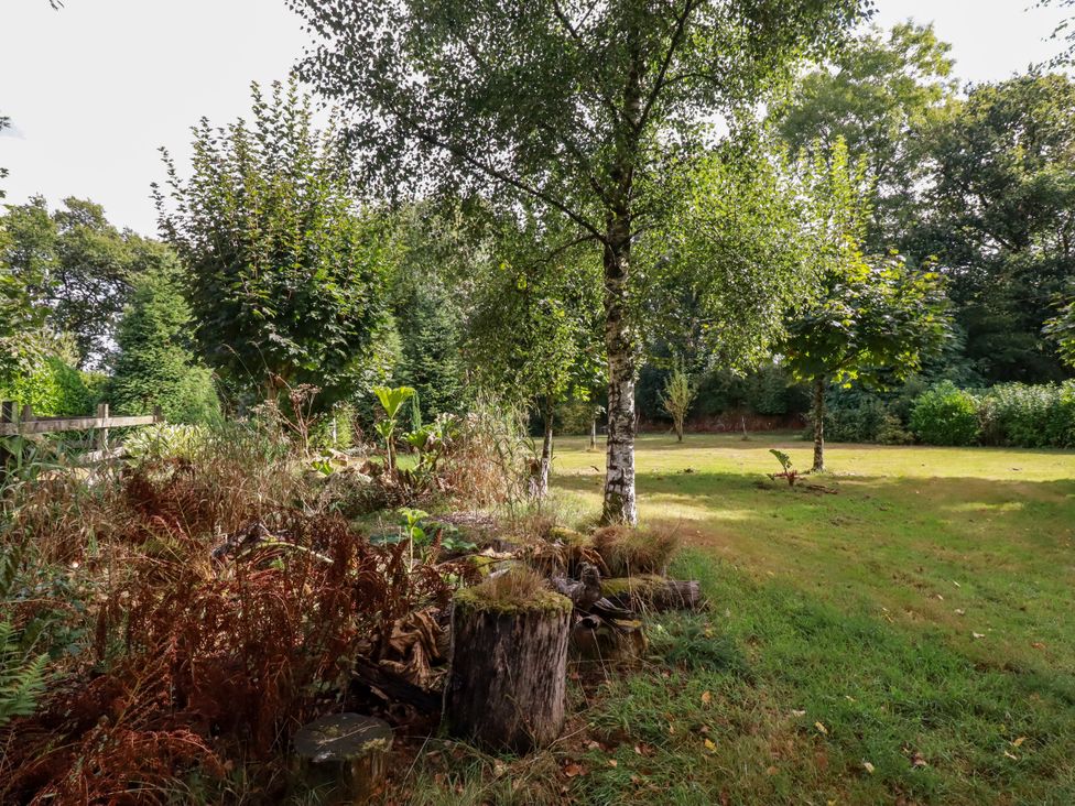 A garden with trees and stumps at Honey Bee Cottage in Menheniot
