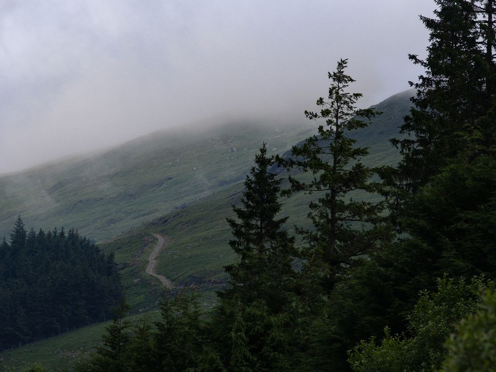 A hilly landscape with trees and a path at Curlew Cottage in Crianlarich