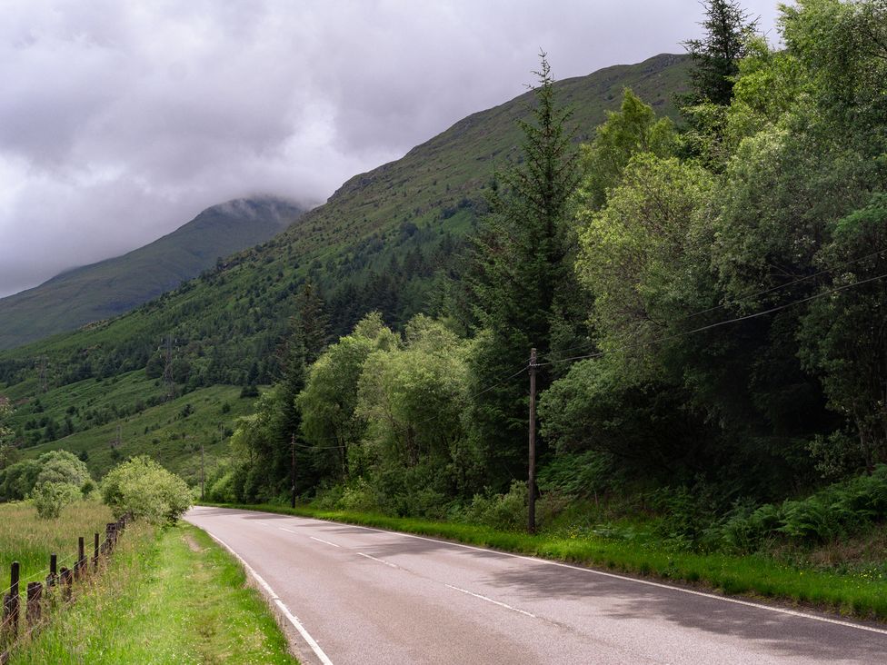 A road along a mountain with trees and power lines at Curlew Cottage Crianlarich