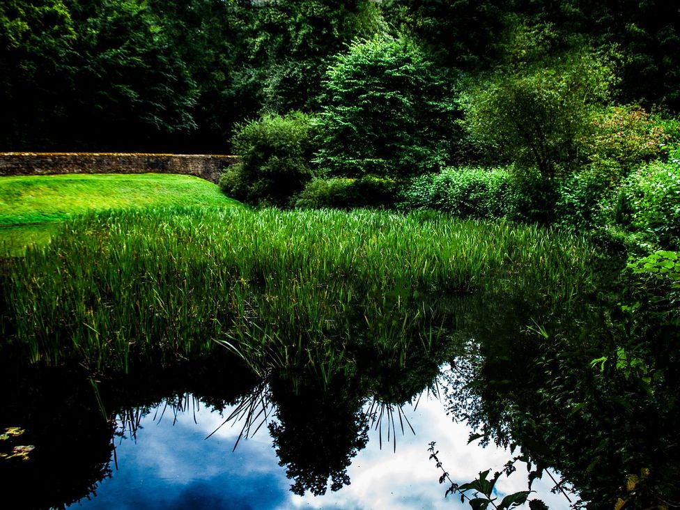 A pond surrounded by grass and trees at Prudhoe Cottage in Prudhoe