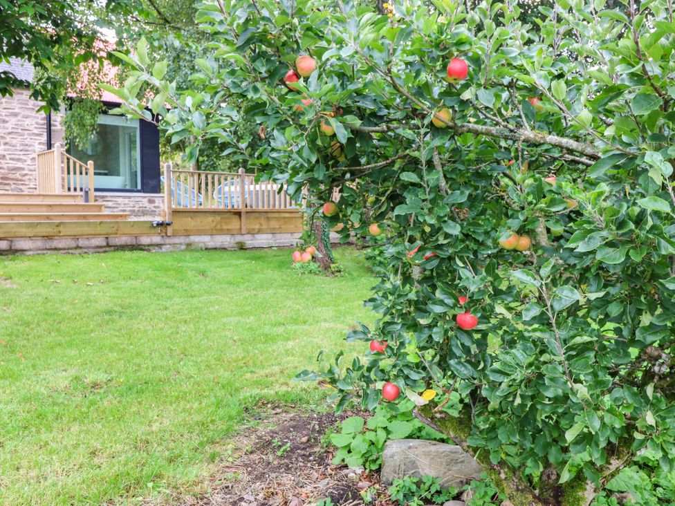 A garden with an apple tree and a wooden deck at Doocot Wood Cottage Forfar