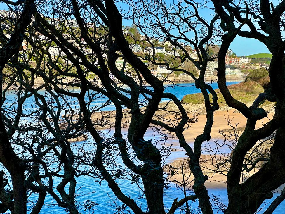 A view of water and beach through tree branches at Beachstone in Salcombe