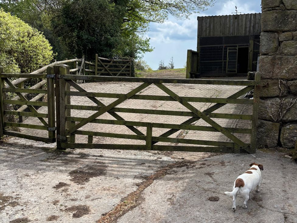 A dog walking near a gate and buildings at Dashel Cottage at Dockwell Farm Widecombe-In-The-Moor
