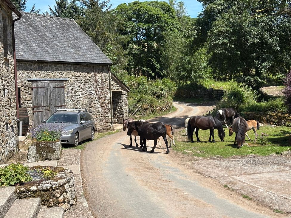 A scene with horses near a stone building at Dashel Cottage at Dockwell Farm Widecombe-In-The-Moor