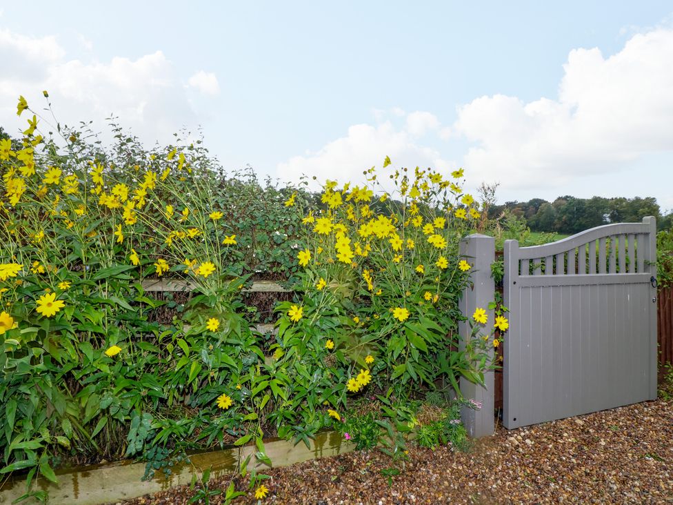 A garden with a gray gate and flowers at Lodgeview in Nottingham