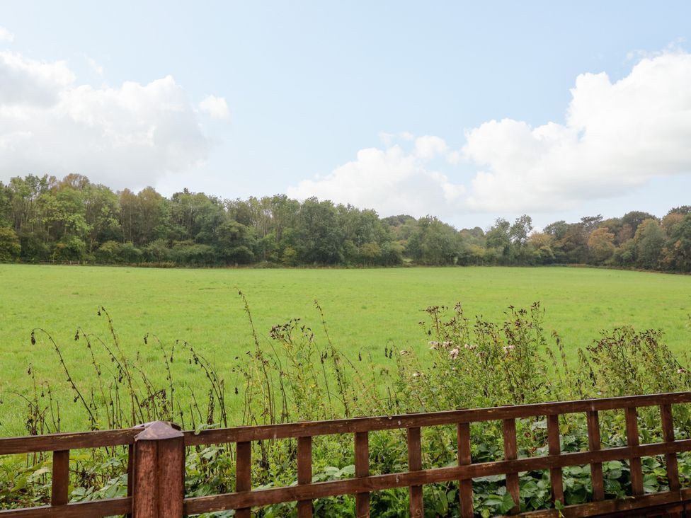 A garden view with grass and trees at Lodgeview in Nottingham