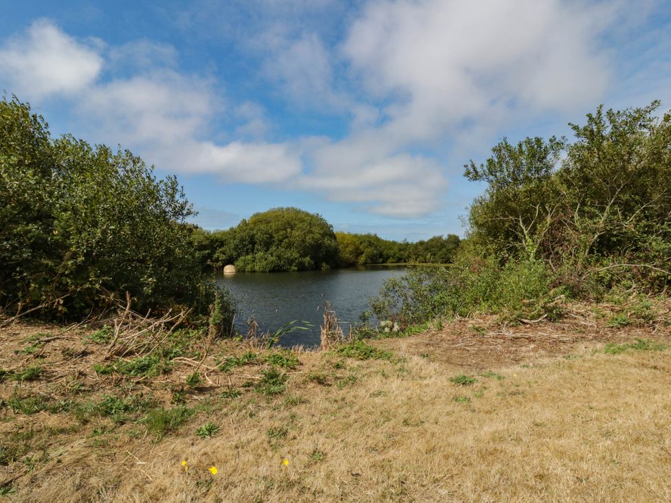 A pond surrounded by trees and grass at May Cottage St Davids