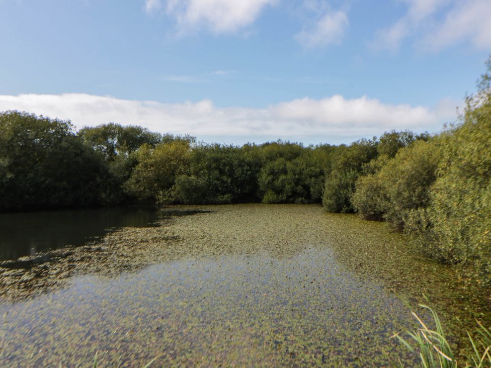 A landscape with water and surrounding greenery at May Cottage St Davids