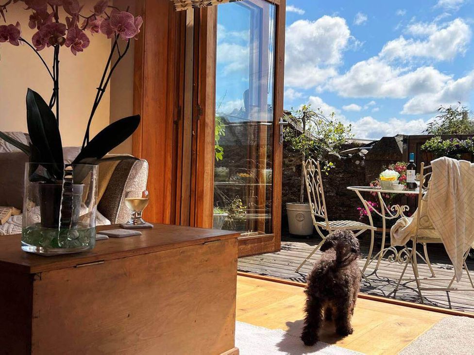 A living room with a door opening to a deck and a dog at The Old Chapel of Ermington