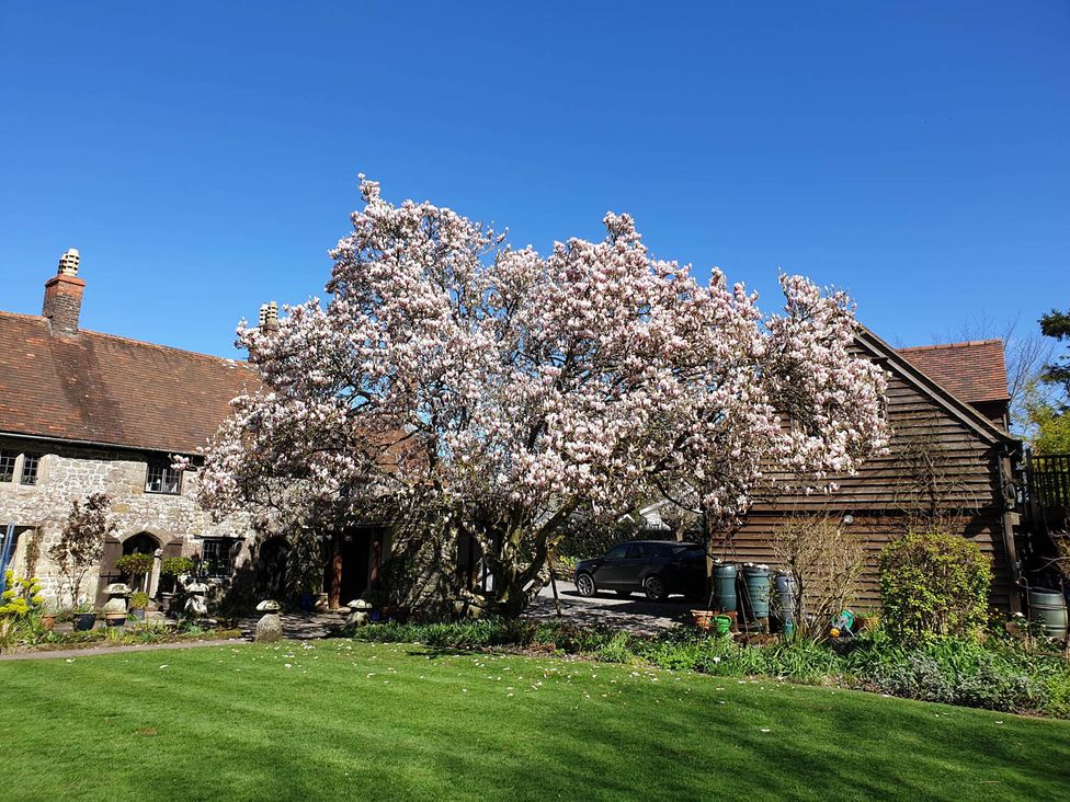 A magnolia tree in a garden at a house with a car parked at The Old Barn in Manchester