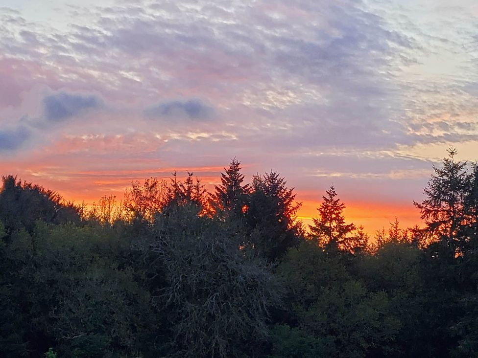 A sunset over trees with clouds in the sky at 3 Bedroom Cottage Hot Tub Garden Parking Dunkeswell