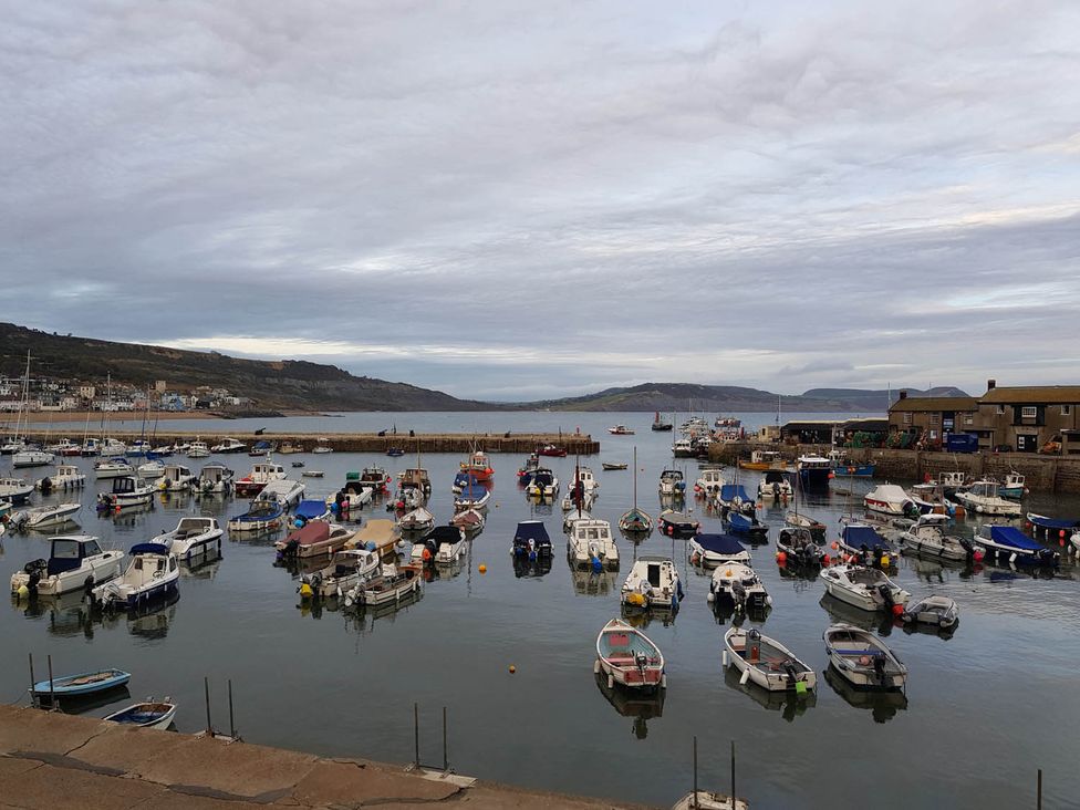 A harbor with boats in the water at a coastal area