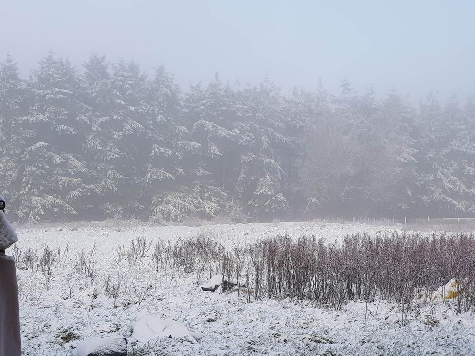 A snowy field with trees in fog at 3 Bedroom Cottage Hot Tub Garden Parking Dunkeswell