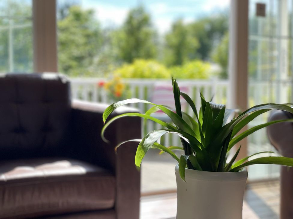 A living room with a sofa and a plant at Stunning Sleeps 6 Luxury Lodge Pets Mercia Marina near Willington, Derbyshire