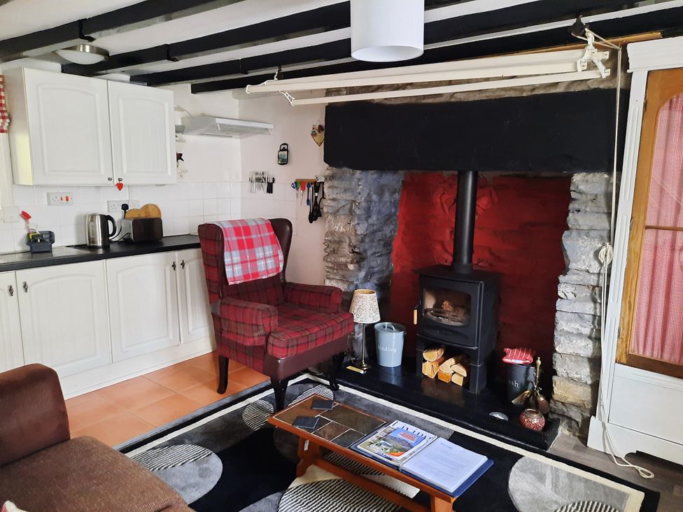 A living room with a checkered armchair and wood stove at the property