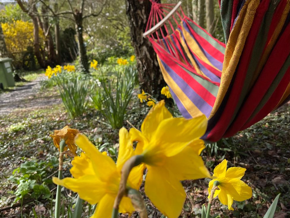 A hammock beside daffodils in a garden