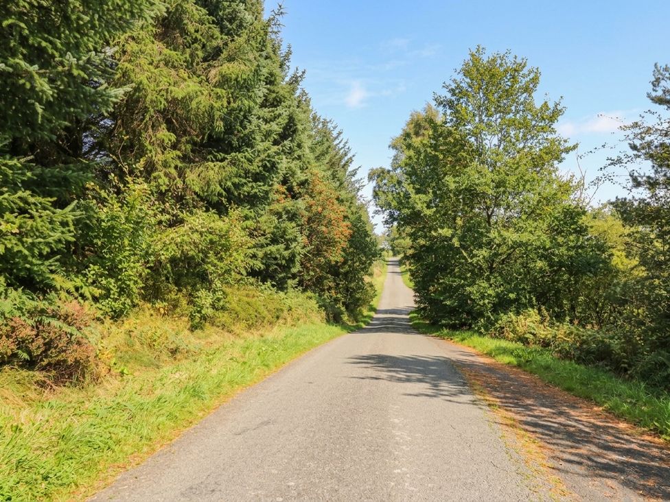 A road lined with trees and grass in Carnforth