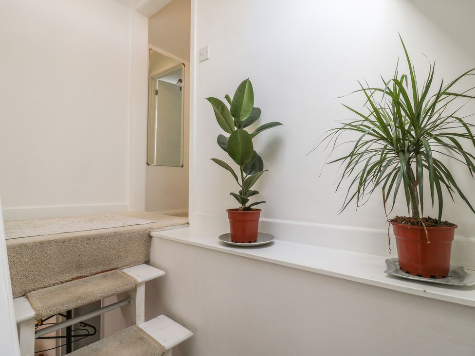 A hallway with stairs and plants at 2B Granville Road Colchester