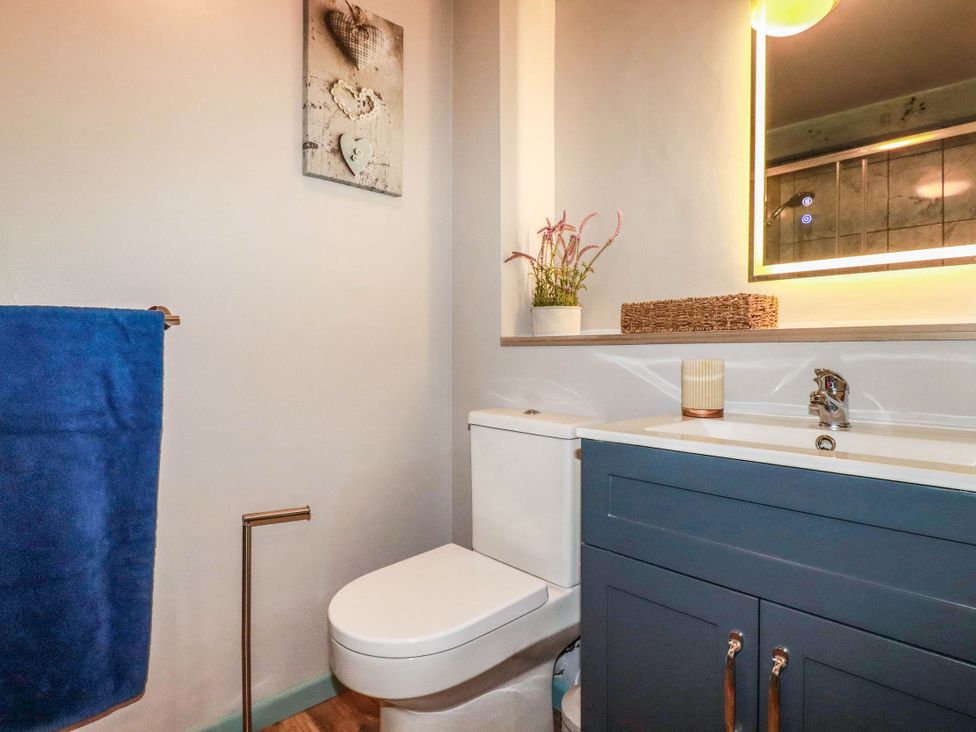 A bathroom with a toilet and sink at Skylark in Liskeard