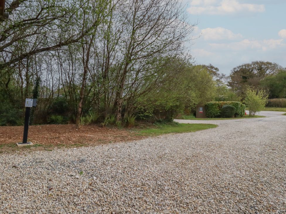 An outdoor area with trees and a gravel path at 5 Tree Tops Liskeard
