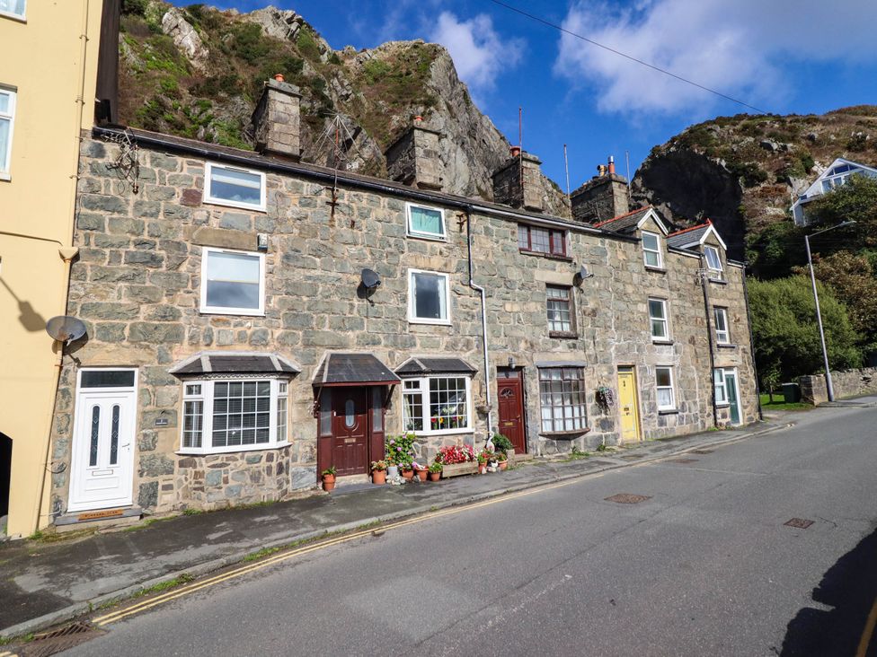 A row of stone houses with flowers on the sidewalk at 1 Glanaber Terrace