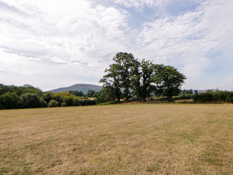 A field with trees and a hill at Sycamore Lodge in Brecon