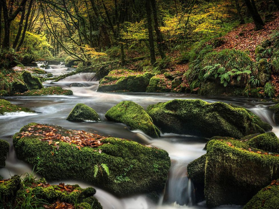 A river flowing over mossy rocks surrounded by trees at 7 Stonerush Valley in Lanreath