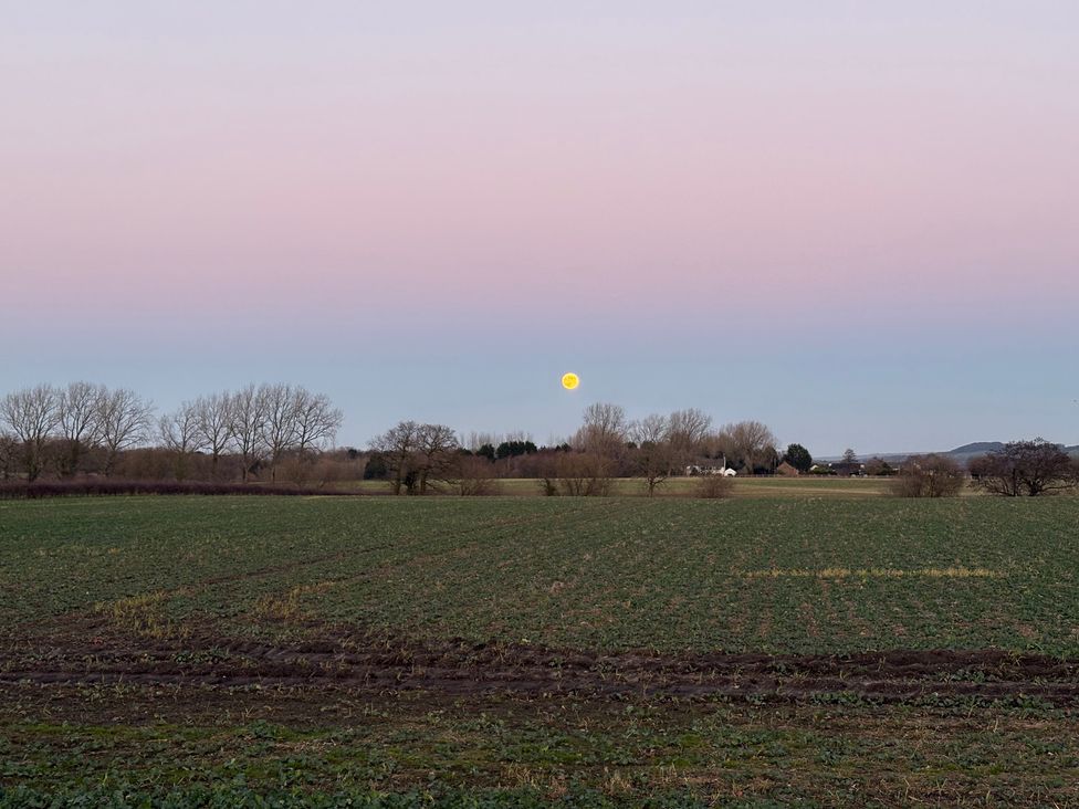 A field with trees and a moon at The Shippon in Burscough