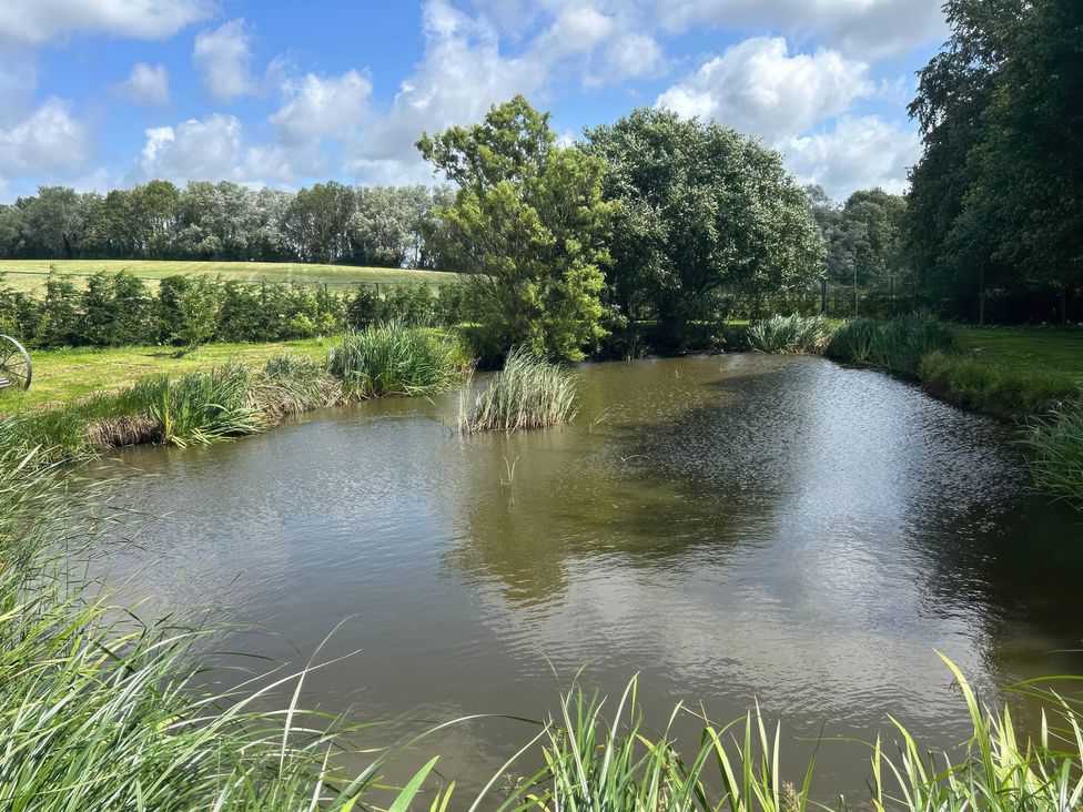 A pond with trees and grass surrounding it at The Log Cabin in Ormskirk