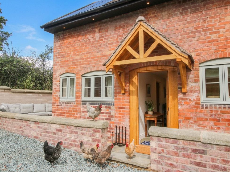 An entrance with a door and chickens at Little Red Barn in Wallop near Westbury