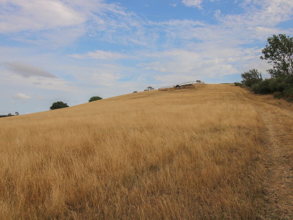 A field with a path leading up a hill at Darn Mawr