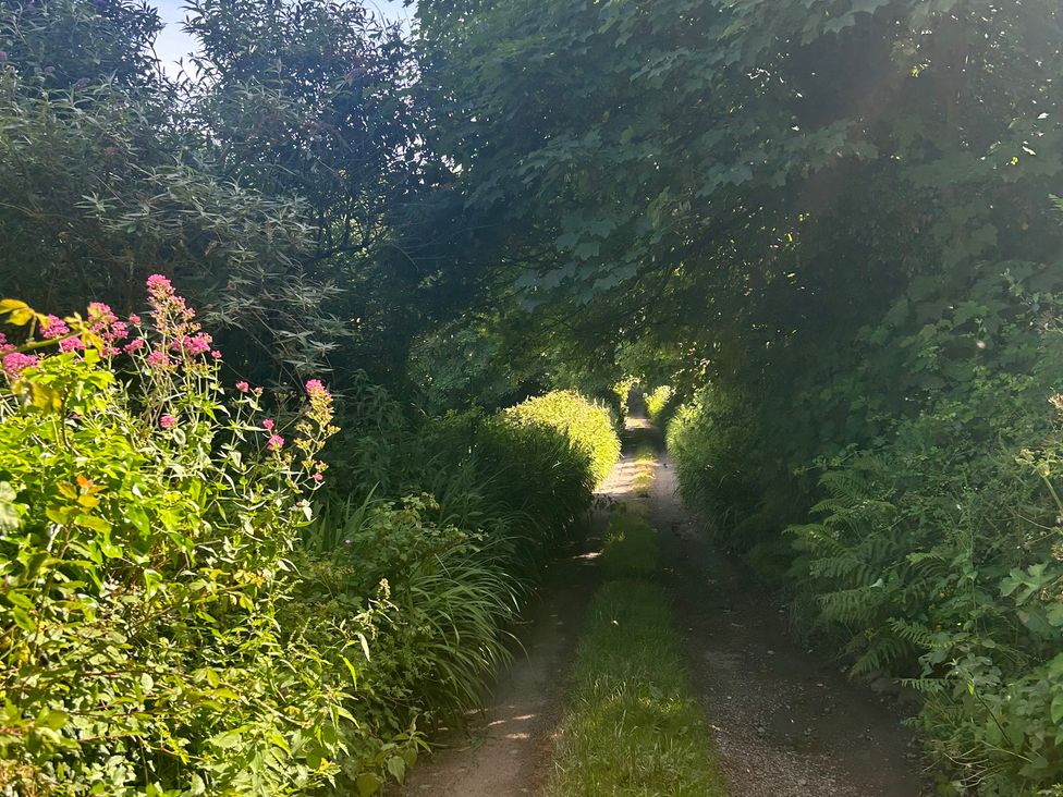 A path surrounded by flowers and greenery at The Old Forge in Bickerton near East Prawle