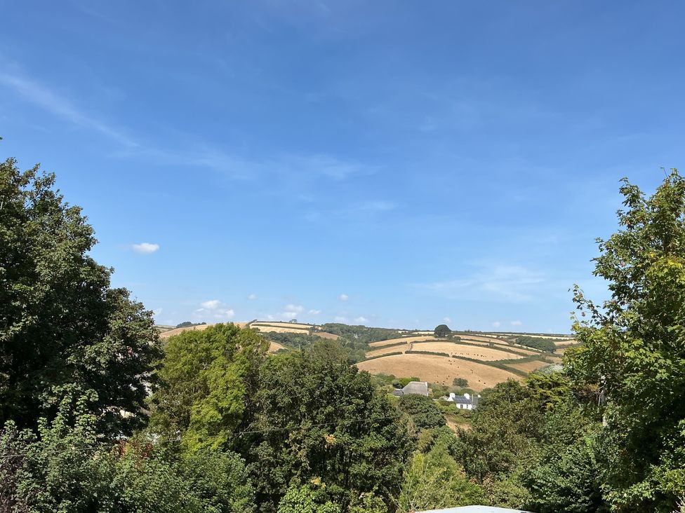 A view of fields and trees at The Old Forge in Bickerton near East Prawle
