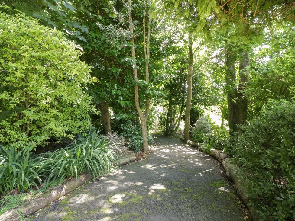 A garden pathway surrounded by trees and plants at Brambleside Lodge in Truro