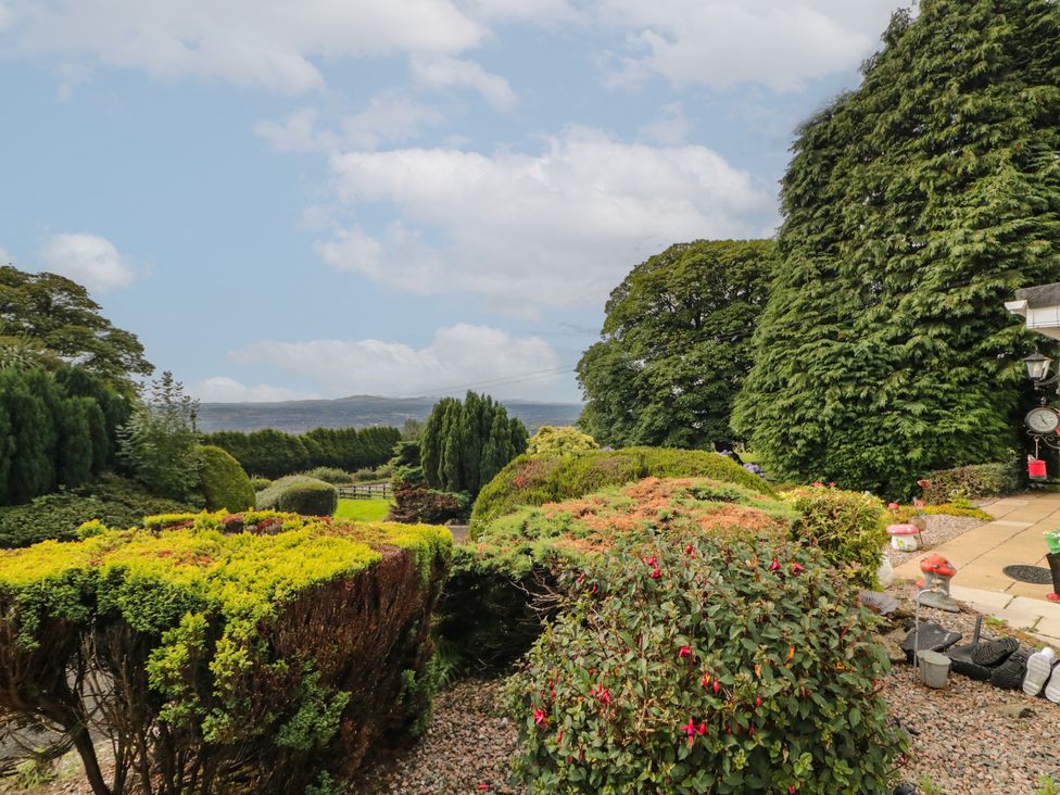 A garden with various plants and trees at Mourne Mountains View in Dunmurry