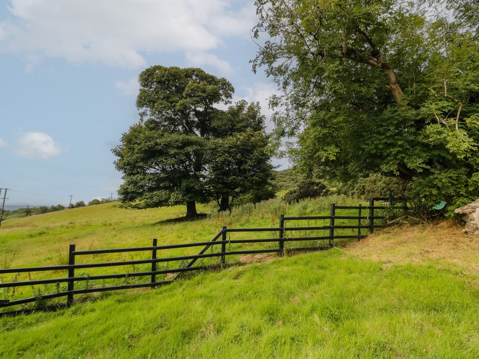A landscape with trees and a fence at Mourne Mountains View in Dunmurry