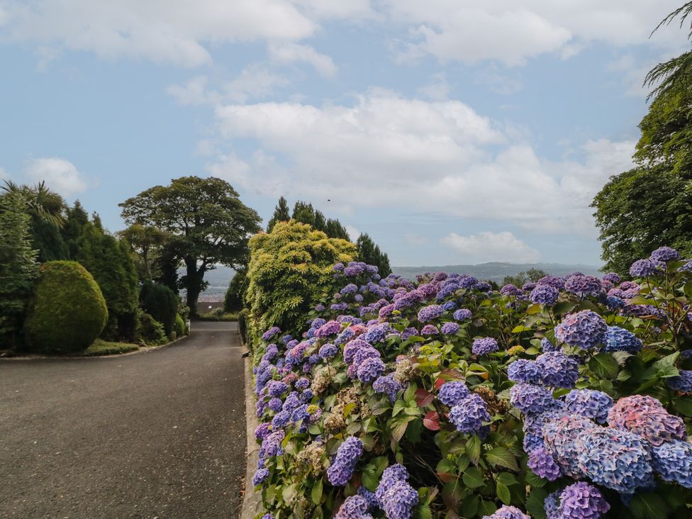 A garden with flowers and a pathway at Mourne Mountains View in Dunmurry