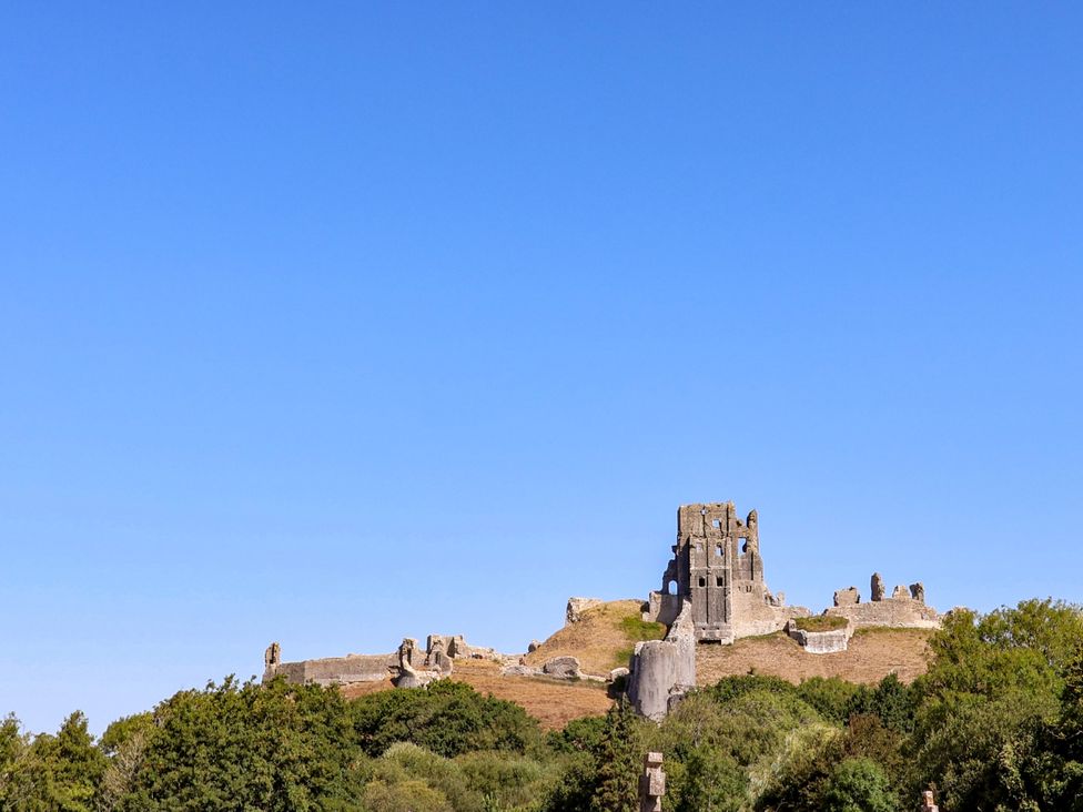 Castle ruins on a hill with trees in the foreground at Farthing Cottage Corfe Castle