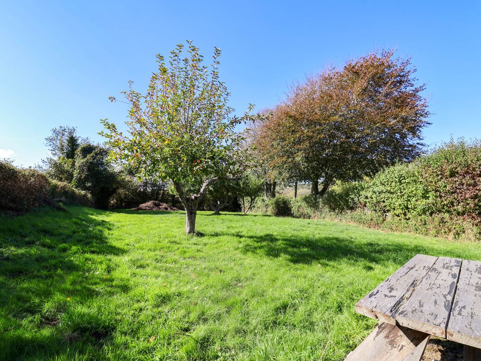 A garden with green grass and trees at Farthing Cottage in Corfe Castle