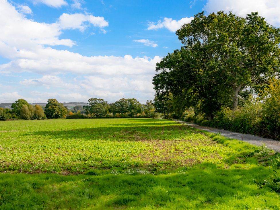A field with trees and a path at Hambledon Hill Cottage in Blandford Forum