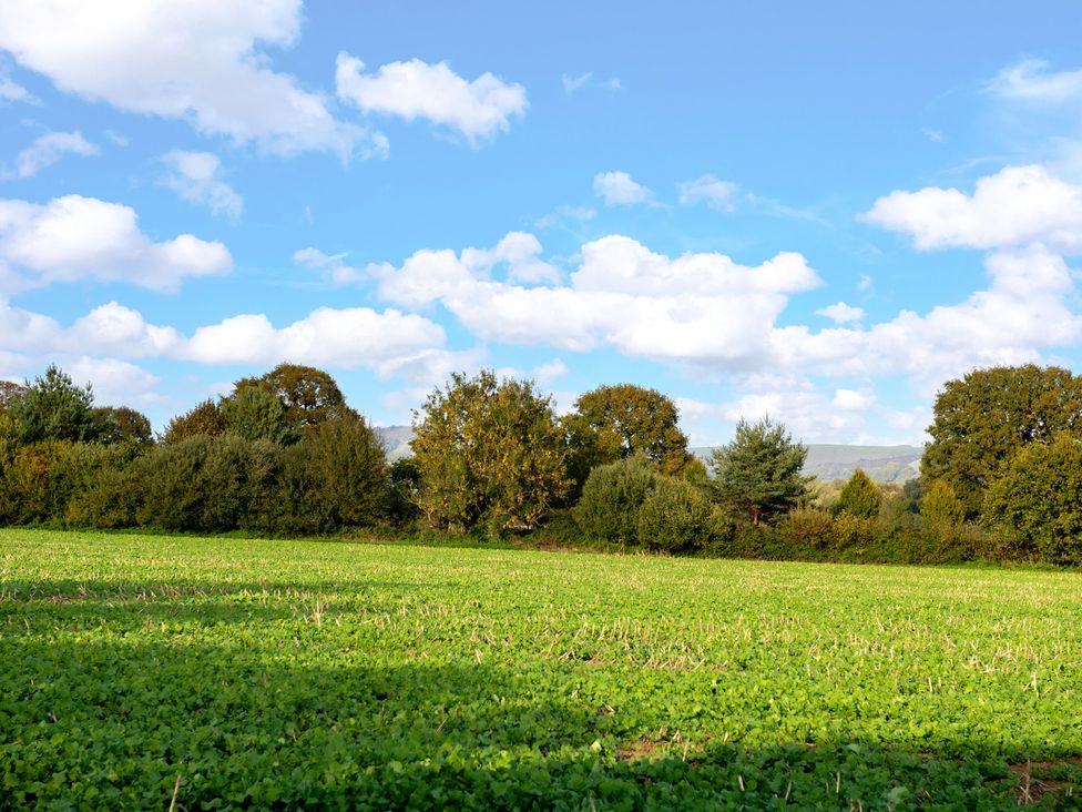 A field with trees and clouds at Hambledon Hill Cottage in Blandford Forum